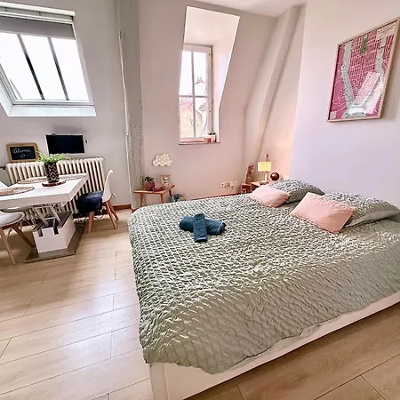 Le Petit Pote' Hyper Centre Apartment *